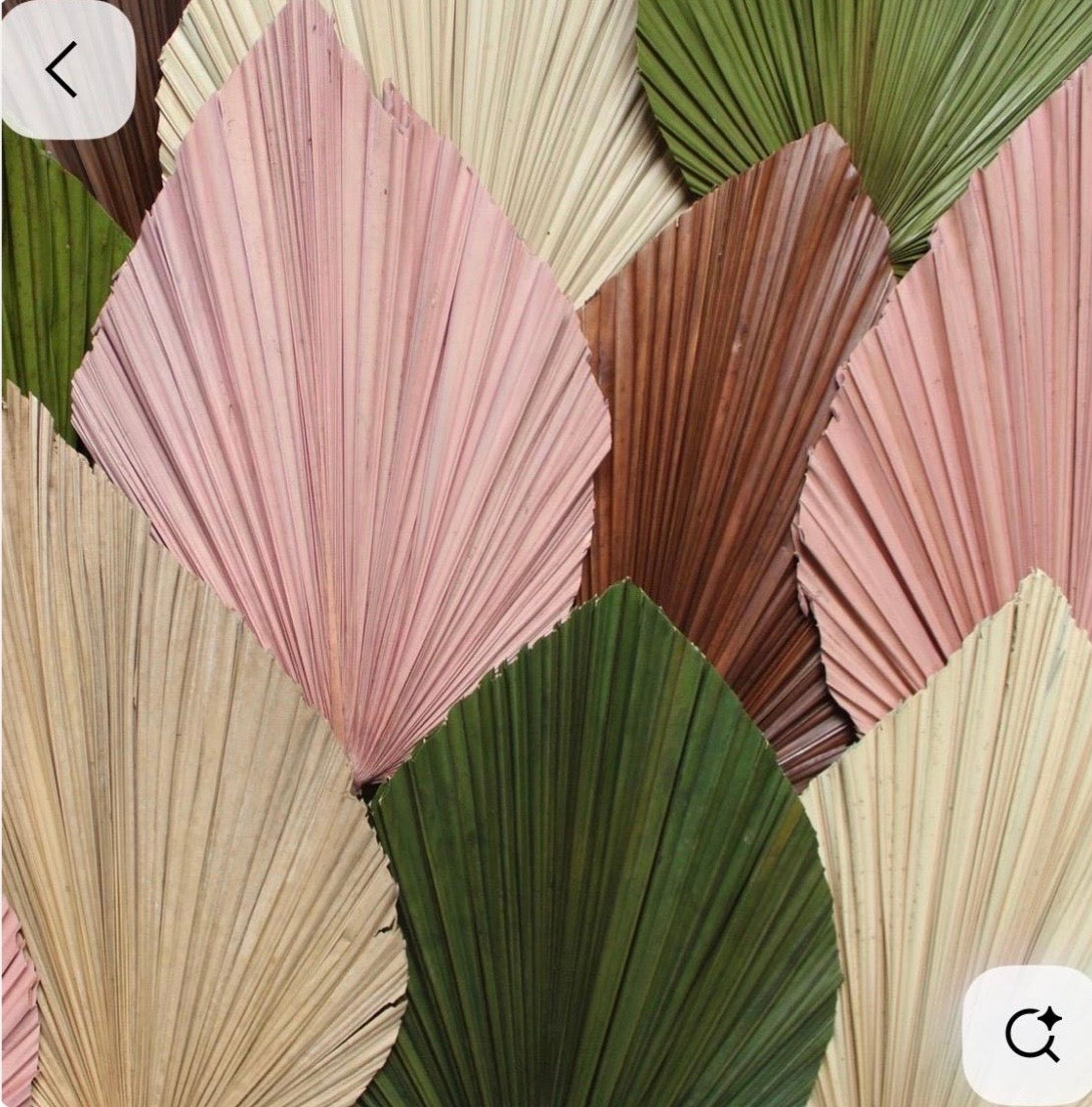 Olive Green Palm Leaf, Dried Fan Palm Frond, Boho Tropical Decor, Natural Sun Palm Spear, Botanical Floral Arrangement Supply