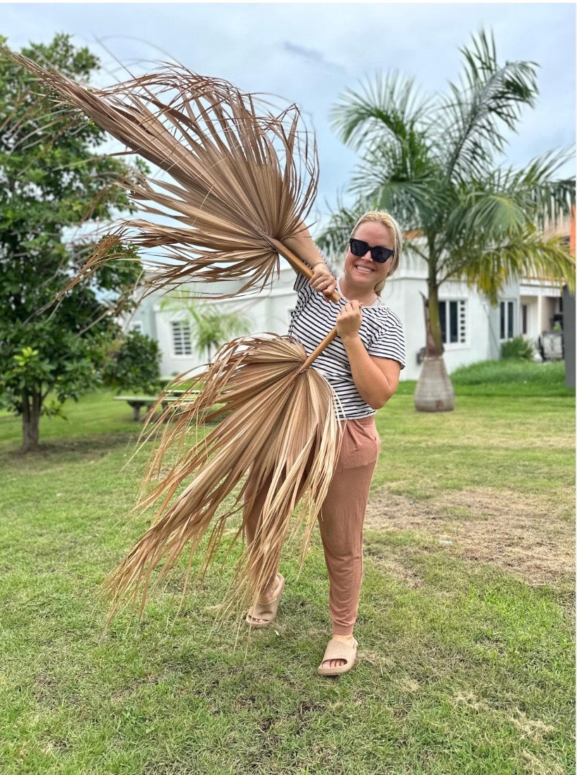 Wholesale Jumbo Dried Palm Leaves Bulk Set, DIY Boho Wedding Backdrop Decor, Large Palm Fronds for Photoshoot, Event Styling Ceremony Props