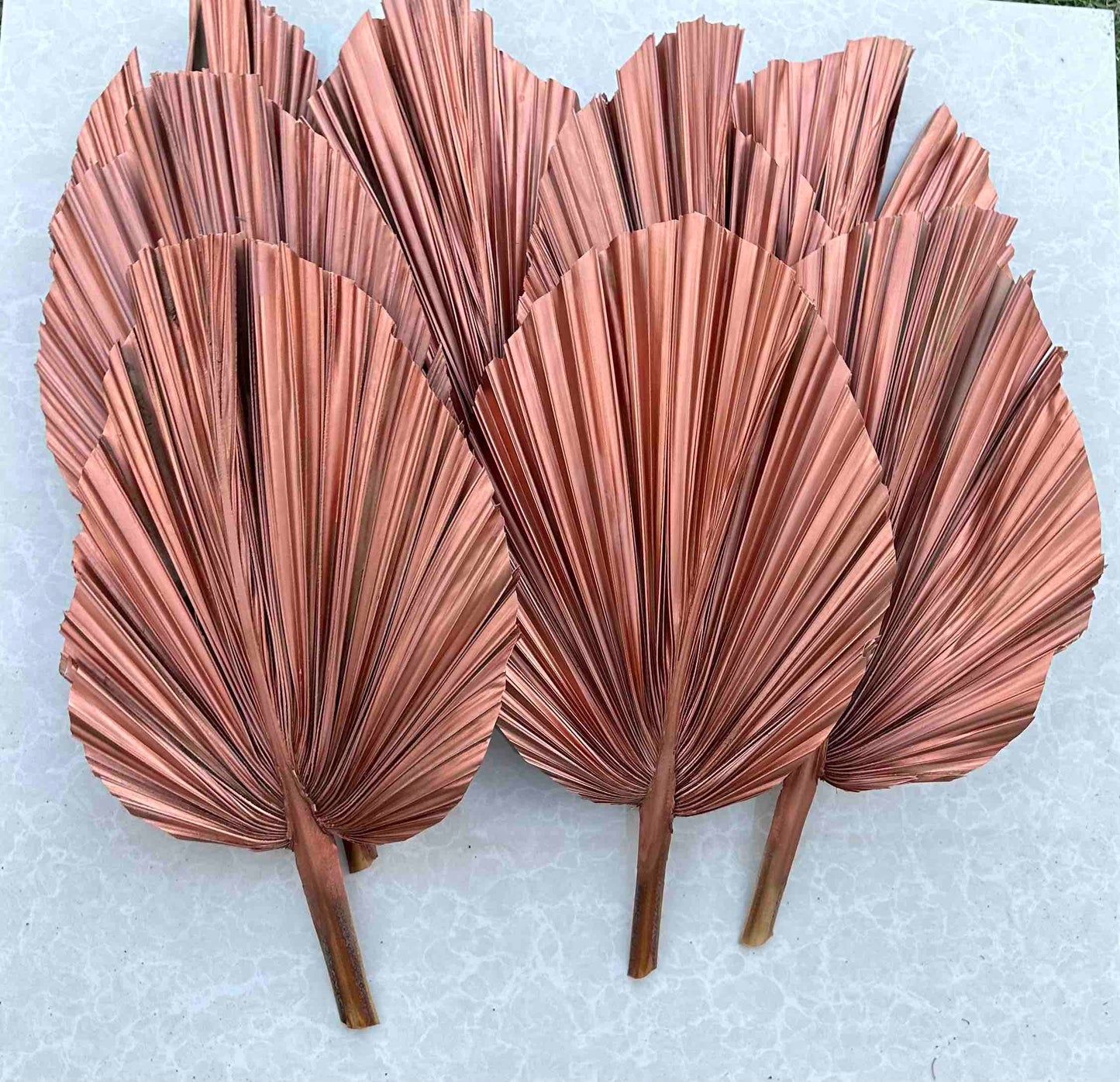 14" ROSE GOLD Dried Palm Leaf, Palm Frond, Home/Party/Wedding Decor