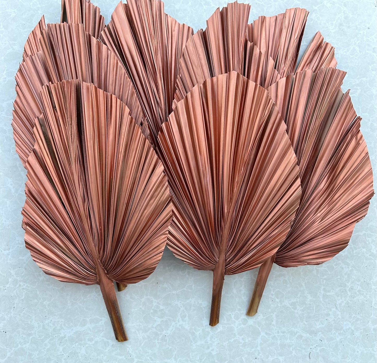 14" ROSE GOLD Dried Palm Leaf, Palm Frond, Home/Party/Wedding Decor