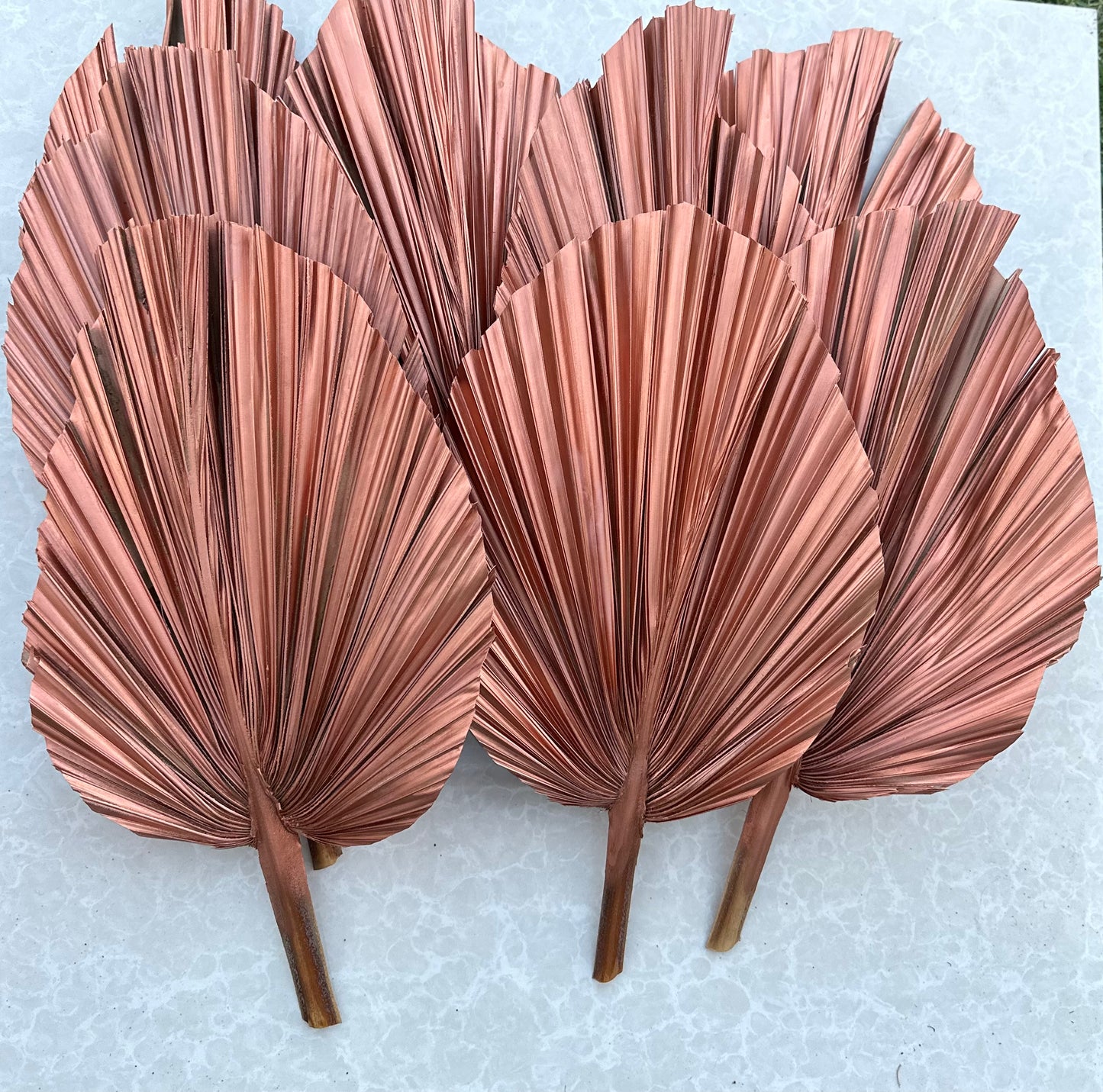 14" ROSE GOLD Dried Palm Leaf, Palm Frond, Home/Party/Wedding Decor