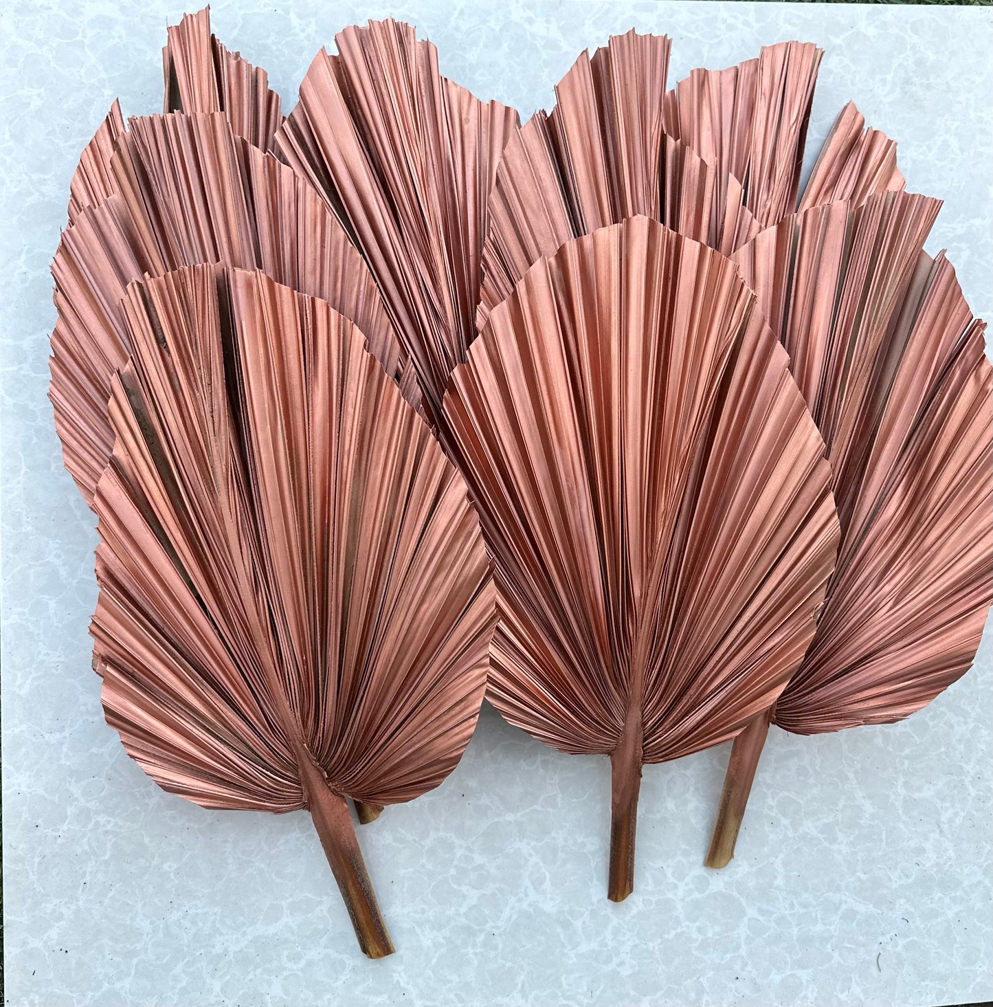 14" ROSE GOLD Dried Palm Leaf, Palm Frond, Home/Party/Wedding Decor