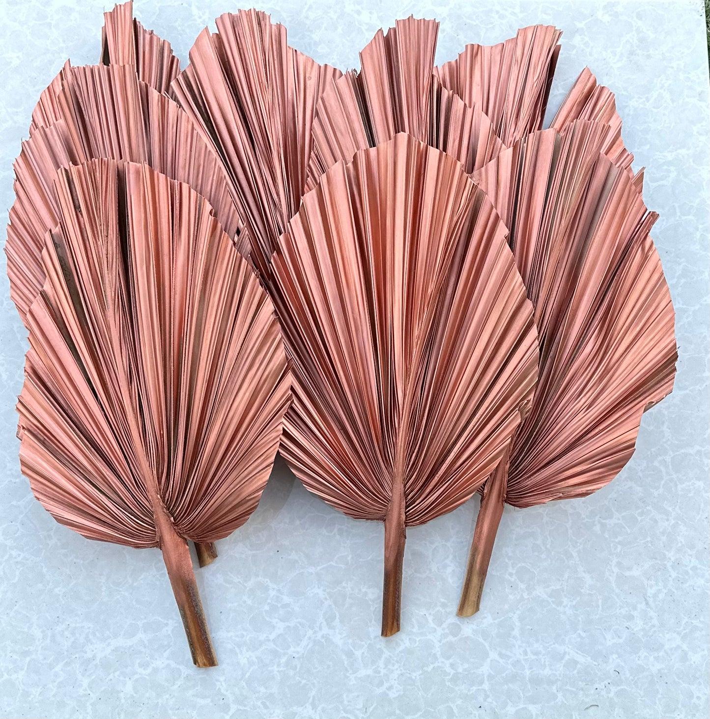 14" ROSE GOLD Dried Palm Leaf, Palm Frond, Home/Party/Wedding Decor