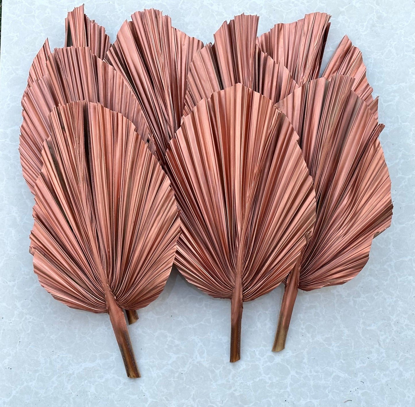 14" ROSE GOLD Dried Palm Leaf, Palm Frond, Home/Party/Wedding Decor