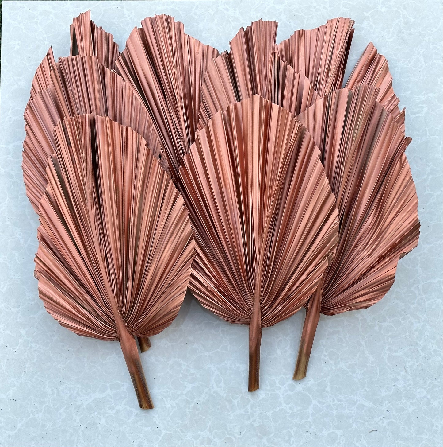 14" ROSE GOLD Dried Palm Leaf, Palm Frond, Home/Party/Wedding Decor