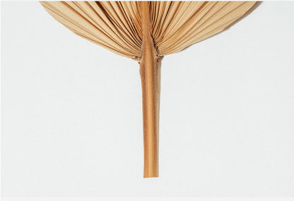 Includes 3 Palms: 12"W X 17"L Medium BEIGE Neutral Dried Palm Leaf | Palm Fan | Tropical Decor | DIY Floral Arrangements | Home | Party | Wedding | Boho Decor | Free Ships Flat, Ready to Use! 3 PCS