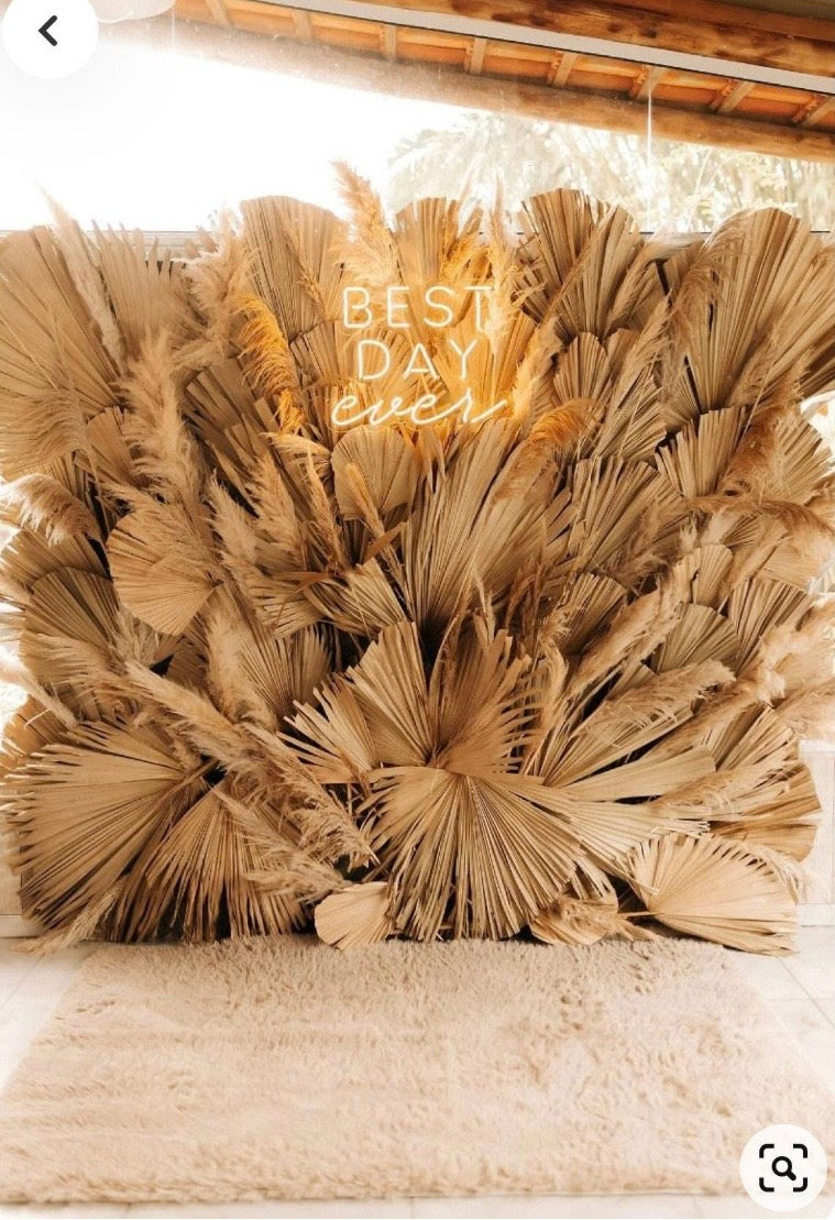 3ft Jumbo Beige Dried Palm Leaf | The Blooming Palm