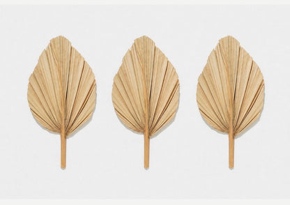 Includes 3 Palms: 12"W X 17"L Medium BEIGE Neutral Dried Palm Leaf | Palm Fan | Tropical Decor | DIY Floral Arrangements | Home | Party | Wedding | Boho Decor | Free Ships Flat, Ready to Use! 3 PCS
