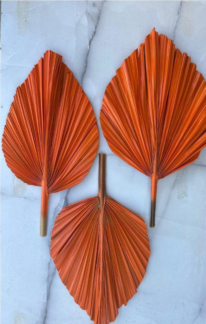 14” Burnt Orange Dried Palm Leaves Set of 3, Fall Boho Decor, Painted Palm Fronds, Autumn Wedding Centerpiece, Tropical Vase Fillers