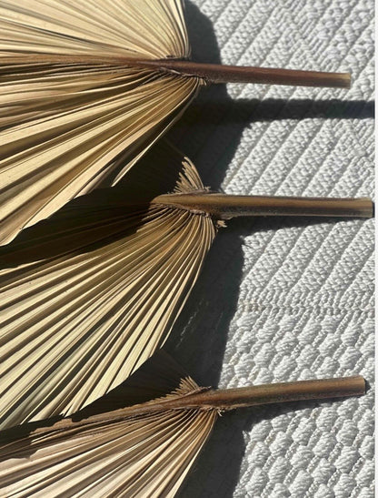 20X15" LARGE Natural Sun-Dried Boho-Style Palm Leaf Home Decor, Free Shipping!