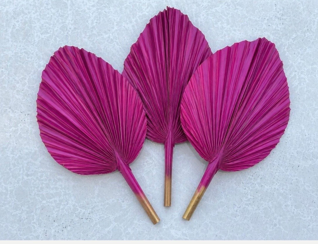 Includes 3 Palms: 12"W X 17"L Medium PINK Dried Palm Leaf | Palm Fan | Tropical Decor | DIY Floral Arrangements | Home | Party | Wedding | Boho Decor | Free Ships Flat, Ready to Use! 3 PCS