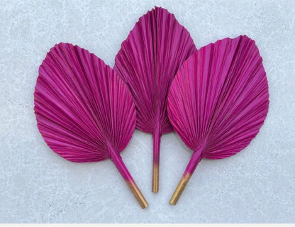 Includes 3 Palms: 12"W X 17"L Medium PINK Dried Palm Leaf | Palm Fan | Tropical Decor | DIY Floral Arrangements | Home | Party | Wedding | Boho Decor | Free Ships Flat, Ready to Use! 3 PCS