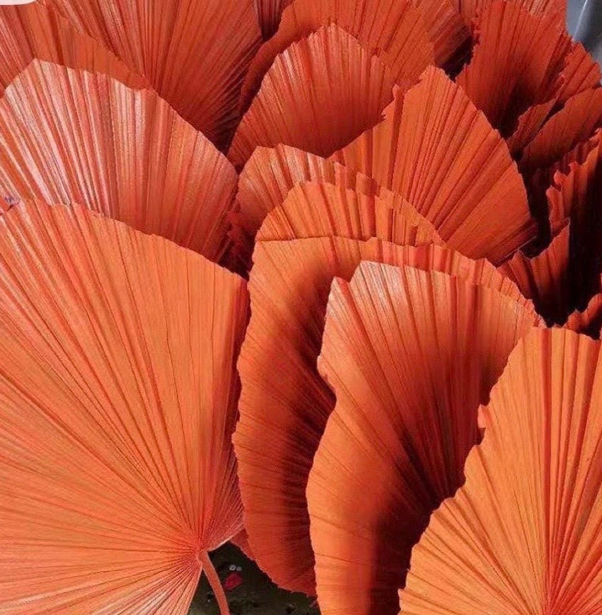 14” Burnt Orange Dried Palm Leaves Set of 3, Fall Boho Decor, Painted Palm Fronds, Autumn Wedding Centerpiece, Tropical Vase Fillers