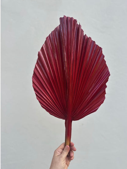 NEW! Burgundy Red Hand Painted Leaves Set, 3 Piece Dried Palm Spear Frond Leaf, Nature Inspired Apartment Decor, DIY Wedding Arrangements