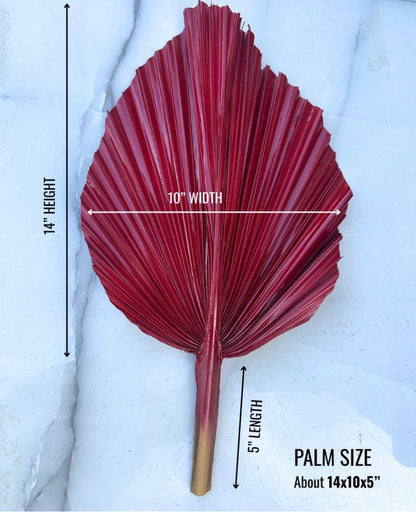 14” Custom Color Painted Palm Leaves (no extra cost) 3pcs
