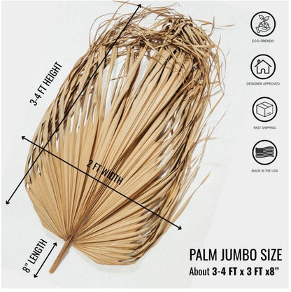 3ft. JUMBO Palm Leaf, Wispy-Ended Dried Palm Leaves, Beige Palm, Natural Sun-Dried Palm Leaf, 🌿 Luxe Dried Palm Leaves – Natural Minimalist Statement Décor