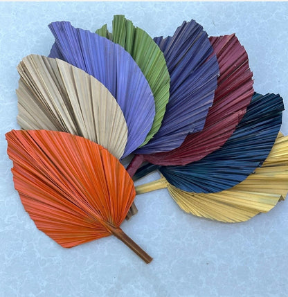 14” Custom Color Painted Palm Leaves (no extra cost) 3pcs