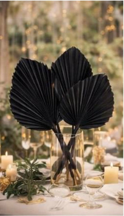 Includes 3 Palms: 12"W X 17"L Charcoal BLACK Medium Dried Palm Leaf | Palm Fan | Tropical Decor | DIY Floral Arrangements | Home | Party | Wedding | Boho Decor | Free Ships Flat, Ready to Use! 3 PCS