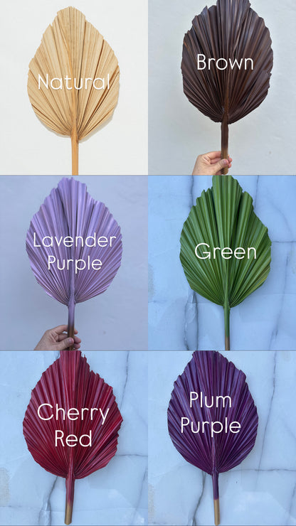 NEW! Moss Green Hand-Painted Palm Leaves Set of 3 Piece Tropical Dried Leaves for Decorations Organic Natural Wedding Backdrops & Photoshoot