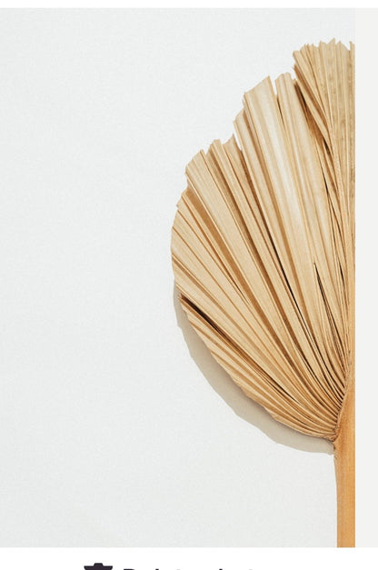 Includes 3 Palms: 12"W X 17"L Medium BEIGE Neutral Dried Palm Leaf | Palm Fan | Tropical Decor | DIY Floral Arrangements | Home | Party | Wedding | Boho Decor | Free Ships Flat, Ready to Use! 3 PCS