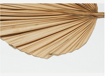 Includes 3 Palms: 12"W X 17"L Medium BEIGE Neutral Dried Palm Leaf | Palm Fan | Tropical Decor | DIY Floral Arrangements | Home | Party | Wedding | Boho Decor | Free Ships Flat, Ready to Use! 3 PCS