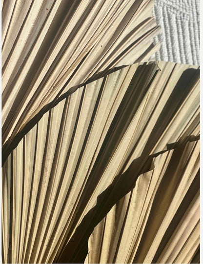 20X15" LARGE Natural Sun-Dried Boho-Style Palm Leaf Home Decor, Free Shipping!
