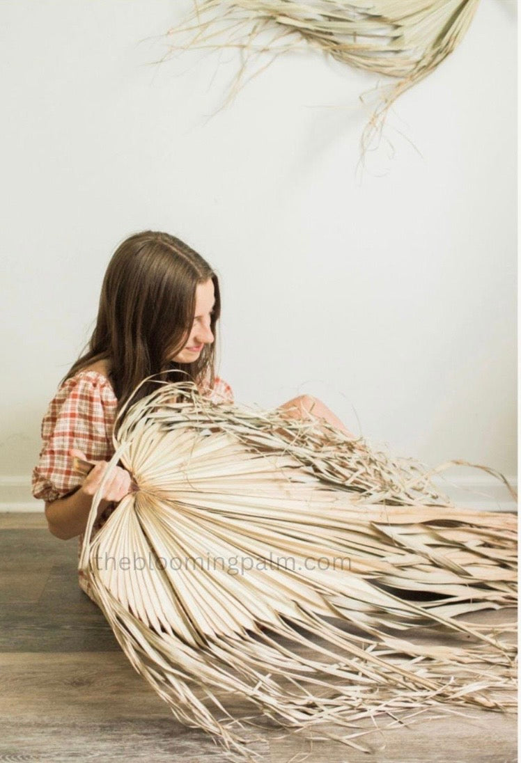 Giant Set of 5 Dried Palm Leaves, Wedding Arrangements, DIY Wedding Decor for Outdoor & Indoor, Boho Wedding Backdrops, XL Photoshoot Props