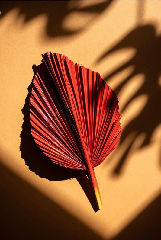 14” Burnt Orange Dried Palm Leaves Set of 3, Fall Boho Decor, Painted Palm Fronds, Autumn Wedding Centerpiece, Tropical Vase Fillers