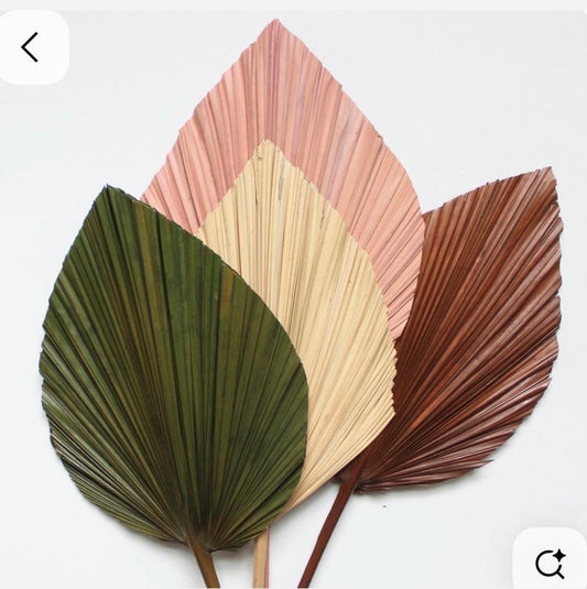 3PCS Baby Pink Hand-Painted Palm Leaf Decor