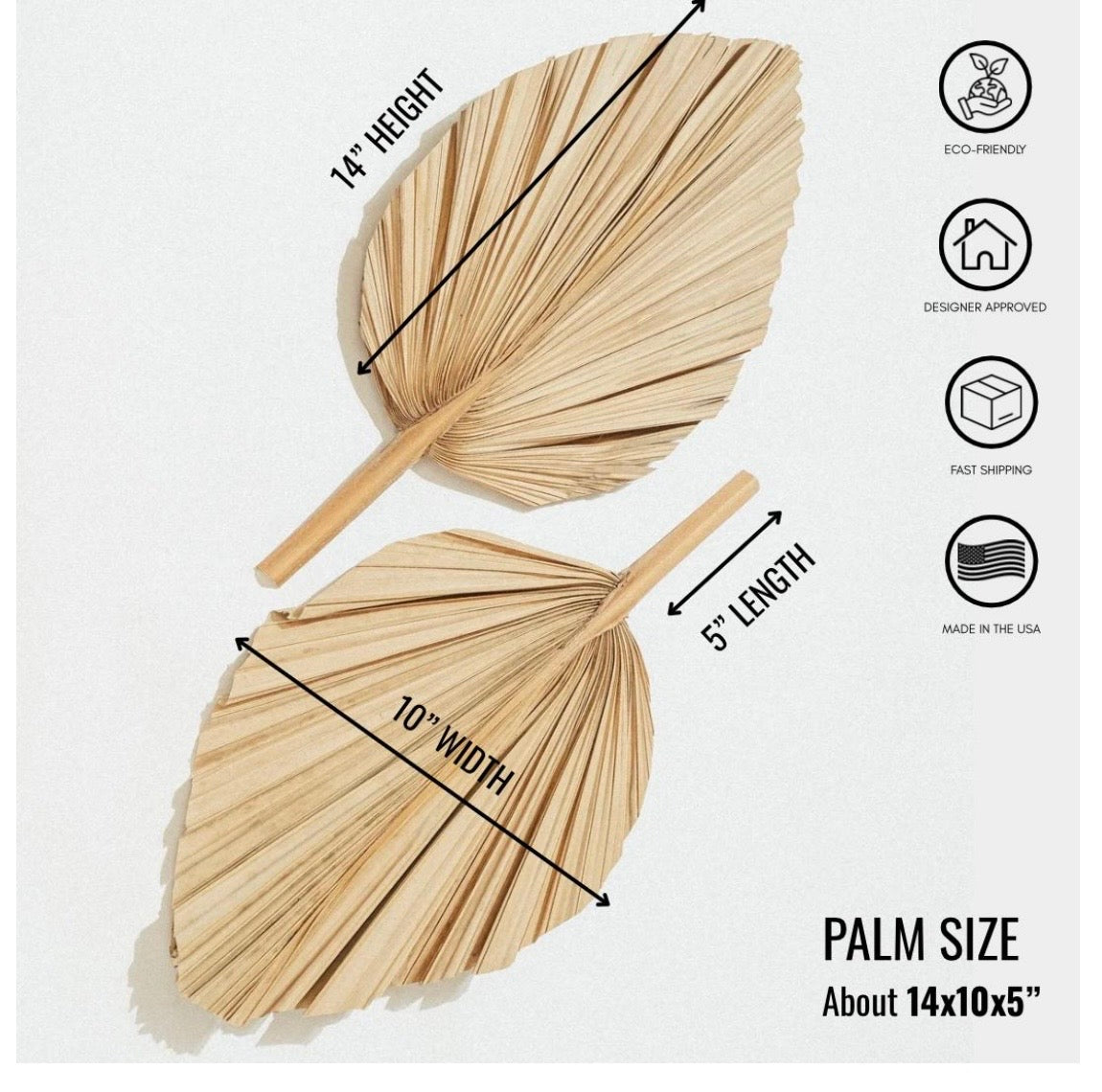 Includes 3 Palms: 12"W X 17"L Medium BEIGE Neutral Dried Palm Leaf | Palm Fan | Tropical Decor | DIY Floral Arrangements | Home | Party | Wedding | Boho Decor | Free Ships Flat, Ready to Use! 3 PCS