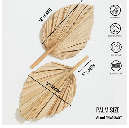 Includes 3 Palms: 12"W X 17"L Medium BEIGE Neutral Dried Palm Leaf | Palm Fan | Tropical Decor | DIY Floral Arrangements | Home | Party | Wedding | Boho Decor | Free Ships Flat, Ready to Use! 3 PCS