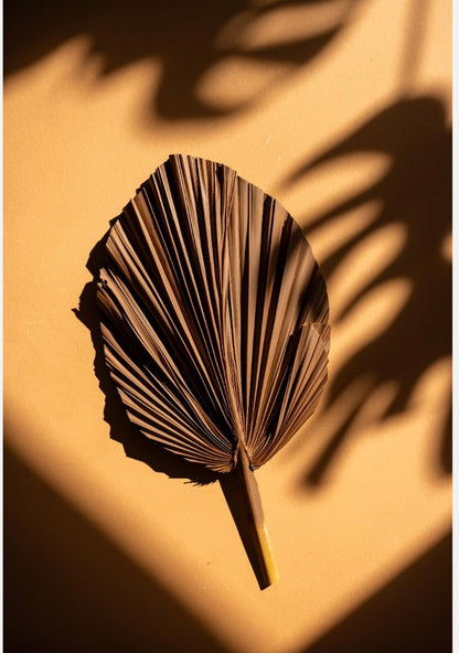 SET Of THREE Chocolate Brown Hand Painted Palm Spear Leaves, 3 Piece Natural Dried Leaves for DIY Decorations, Organic Natural Home Decor