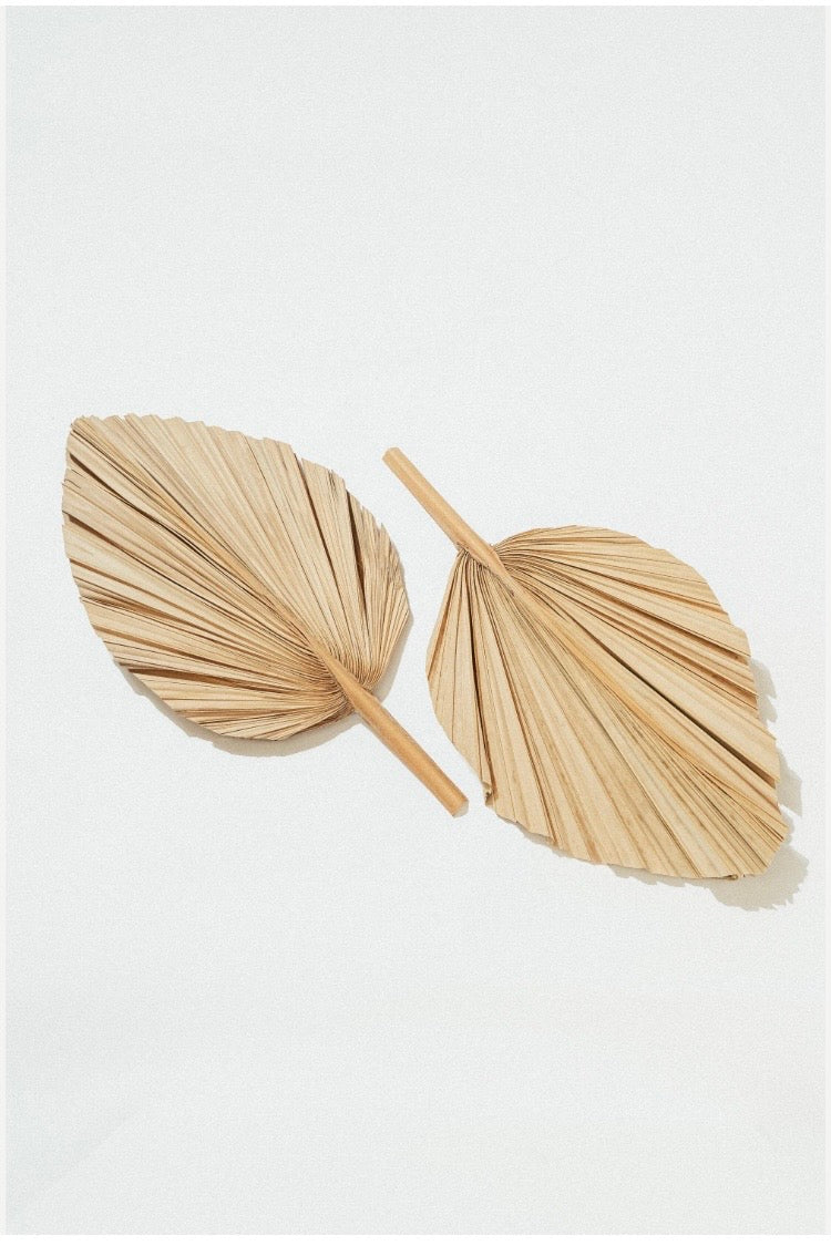 Includes 3 Palms: 12"W X 17"L Medium BEIGE Neutral Dried Palm Leaf | Palm Fan | Tropical Decor | DIY Floral Arrangements | Home | Party | Wedding | Boho Decor | Free Ships Flat, Ready to Use! 3 PCS