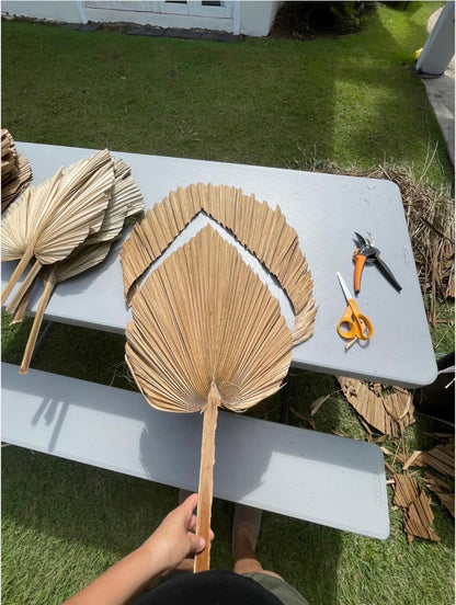 Includes 3 Palms: 12"W X 17"L Medium BEIGE Neutral Dried Palm Leaf | Palm Fan | Tropical Decor | DIY Floral Arrangements | Home | Party | Wedding | Boho Decor | Free Ships Flat, Ready to Use! 3 PCS