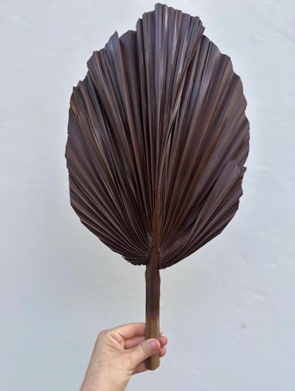 SET Of THREE Chocolate Brown Hand Painted Palm Spear Leaves, 3 Piece Natural Dried Leaves for DIY Decorations, Organic Natural Home Decor