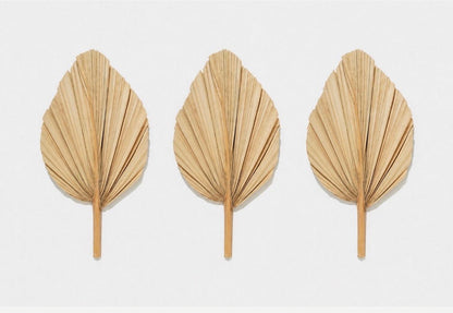 Includes 3 Palms: 12"W X 17"L Medium BEIGE Neutral Dried Palm Leaf | Palm Fan | Tropical Decor | DIY Floral Arrangements | Home | Party | Wedding | Boho Decor | Free Ships Flat, Ready to Use! 3 PCS