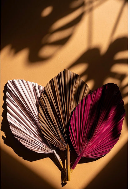 Includes 3 Palms: 12"W X 17"L Medium PINK Dried Palm Leaf | Palm Fan | Tropical Decor | DIY Floral Arrangements | Home | Party | Wedding | Boho Decor | Free Ships Flat, Ready to Use! 3 PCS