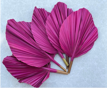 Includes 3 Palms: 12"W X 17"L Medium PINK Dried Palm Leaf | Palm Fan | Tropical Decor | DIY Floral Arrangements | Home | Party | Wedding | Boho Decor | Free Ships Flat, Ready to Use! 3 PCS