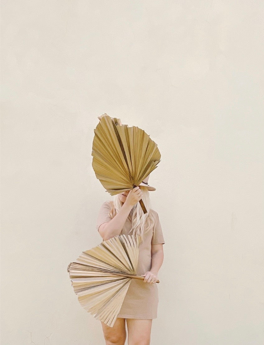 Includes 3 Palms: 12"W X 17"L Medium BEIGE Neutral Dried Palm Leaf | Palm Fan | Tropical Decor | DIY Floral Arrangements | Home | Party | Wedding | Boho Decor | Free Ships Flat, Ready to Use! 3 PCS