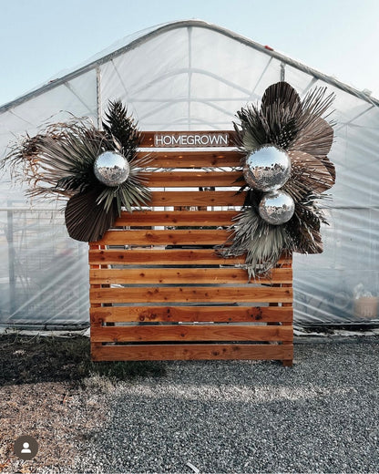 3ft. JUMBO Palm Leaf, Wispy-Ended Dried Palm Leaves, Beige Palm, Natural Sun-Dried Palm Leaf, 🌿 Luxe Dried Palm Leaves – Natural Minimalist Statement Décor