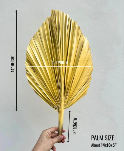 14” Custom Color Painted Palm Leaves (no extra cost) 3pcs