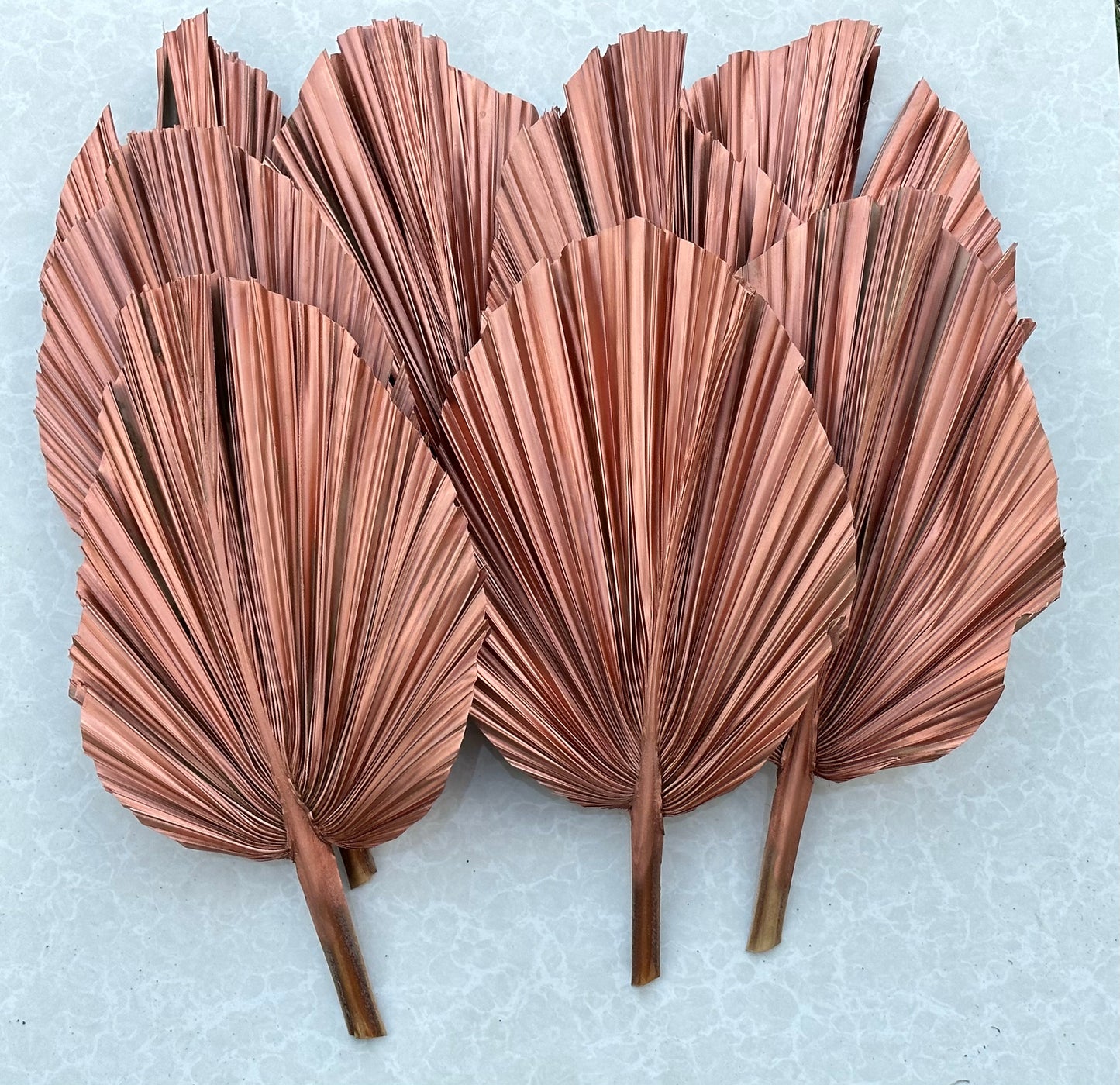 14" ROSE GOLD Dried Palm Leaf, Palm Frond, Home/Party/Wedding Decor