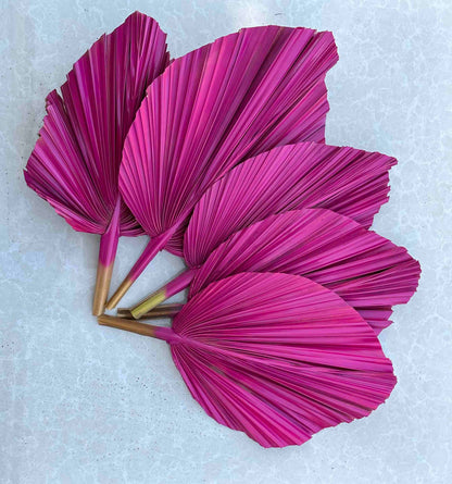 Includes 3 Palms: 12"W X 17"L Medium PINK Dried Palm Leaf | Palm Fan | Tropical Decor | DIY Floral Arrangements | Home | Party | Wedding | Boho Decor | Free Ships Flat, Ready to Use! 3 PCS