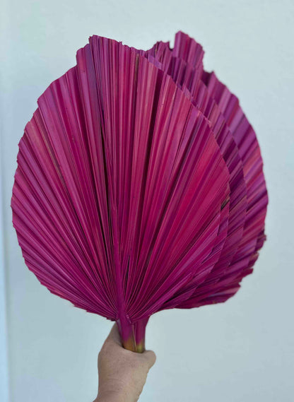 Includes 3 Palms: 12"W X 17"L Medium PINK Dried Palm Leaf | Palm Fan | Tropical Decor | DIY Floral Arrangements | Home | Party | Wedding | Boho Decor | Free Ships Flat, Ready to Use! 3 PCS