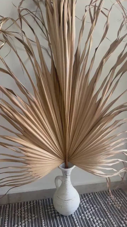 3ft. JUMBO Palm Leaf, Wispy-Ended Dried Palm Leaves, Beige Palm, Natural Sun-Dried Palm Leaf, 🌿 Luxe Dried Palm Leaves – Natural Minimalist Statement Décor