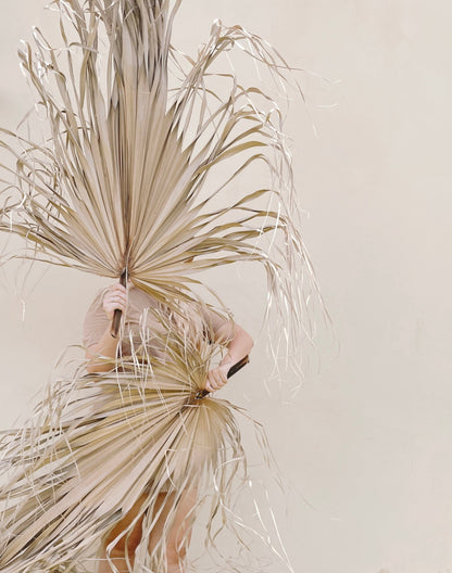 3ft. JUMBO Palm Leaf, Wispy-Ended Dried Palm Leaves, Beige Palm, Natural Sun-Dried Palm Leaf, 🌿 Luxe Dried Palm Leaves – Natural Minimalist Statement Décor