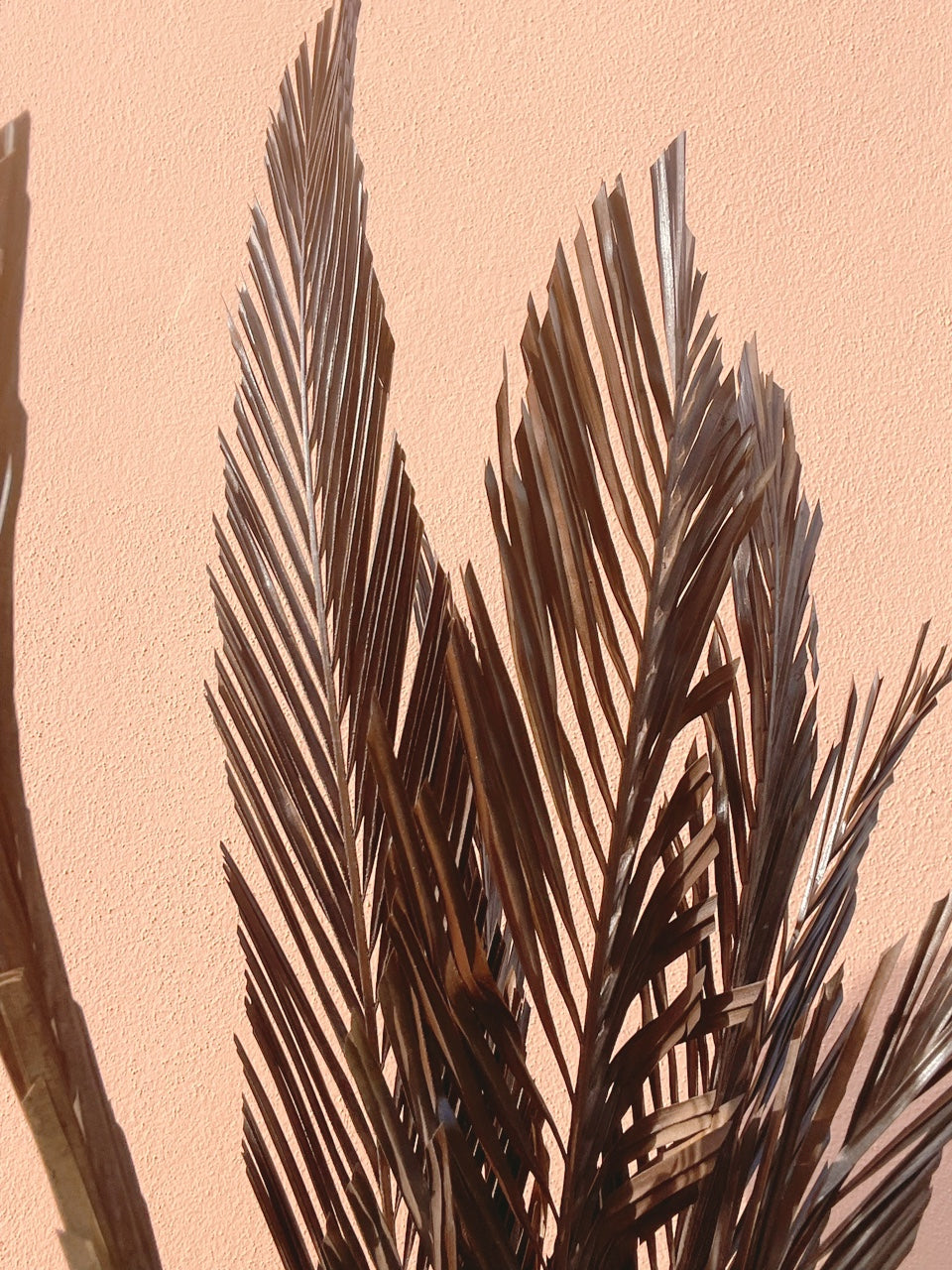 3 Pcs Natural Sago Palm Leaves Branches, Dried Painted Sago