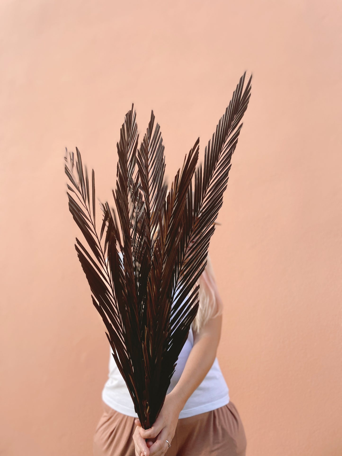 3 Pcs Natural Sago Palm Leaves Branches, Dried Painted Sago