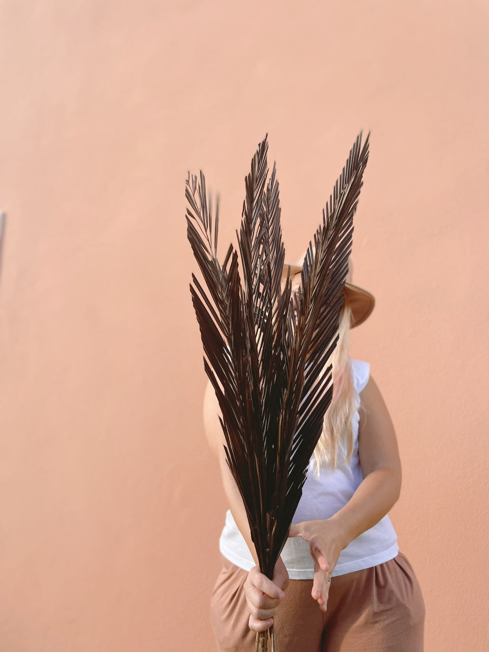 3 Pcs Natural Sago Palm Leaves Branches, Dried Painted Sago